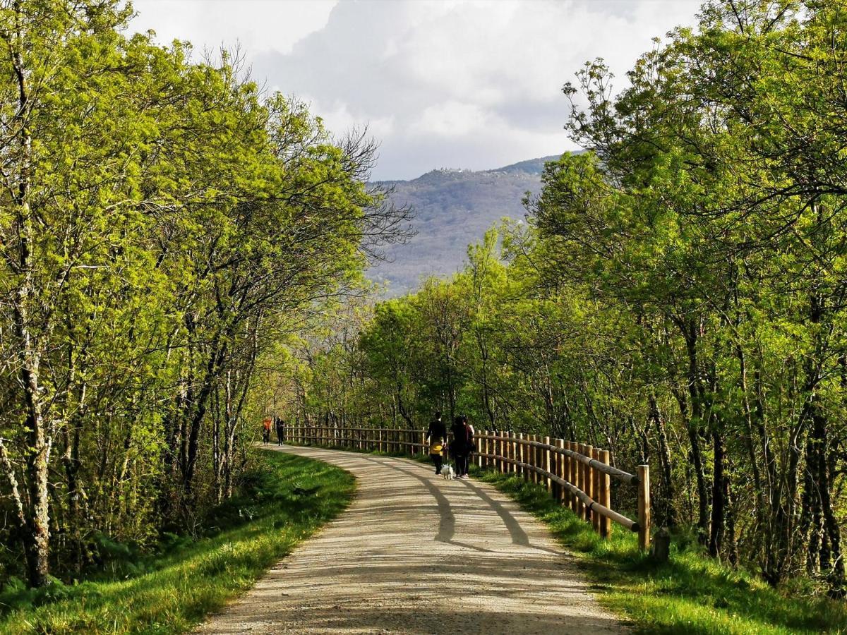 El Triskel De Chumbea, Alojamiento Excepcional Con Maravillosas Vistas A 5Km De Bejar Navalmoral de Bejar Kültér fotó